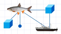a fish and a boat are shown in a diagram.