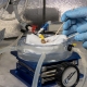 a person in blue gloves is manipulating a small organ in a petri dish