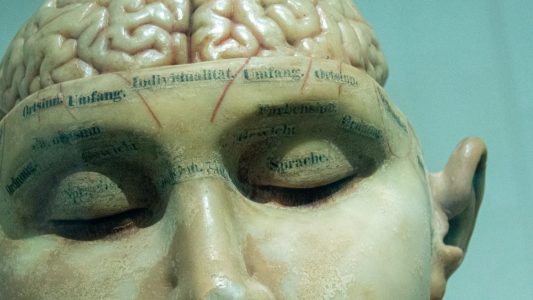 a close up of a statue of a person with a brain.